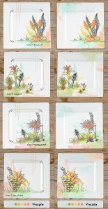 Dawn_Bouteiller_JoyousBroms_Week2 copy