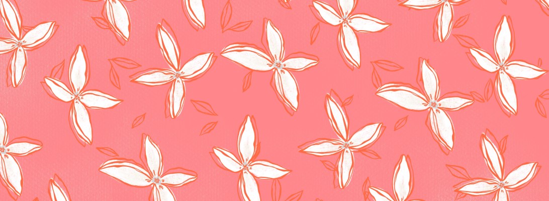 Sweet Friend Flowers